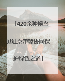 420余种候鸟见证京津冀协同保护绿色之道