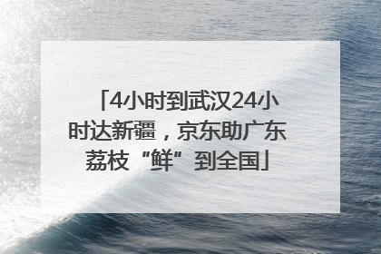 4小时到武汉24小时达新疆，京东助广东荔枝“鲜”到全国