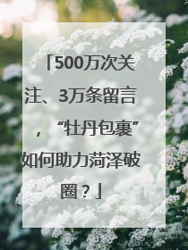 500万次关注、3万条留言，“牡丹包裹”如何助力菏泽破圈？