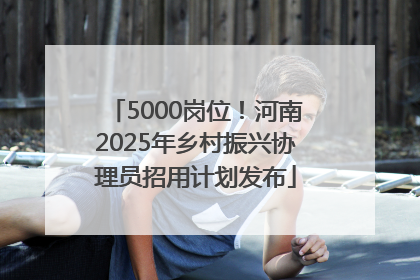 5000岗位！河南2025年乡村振兴协理员招用计划发布