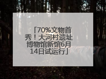 70%文物首秀！大河村遗址博物馆新馆6月14日试运行