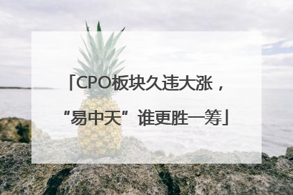 CPO板块久违大涨，“易中天”谁更胜一筹