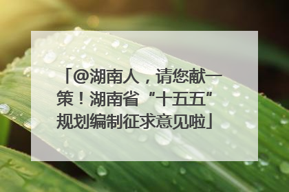 @湖南人，请您献一策！湖南省“十五五”规划编制征求意见啦