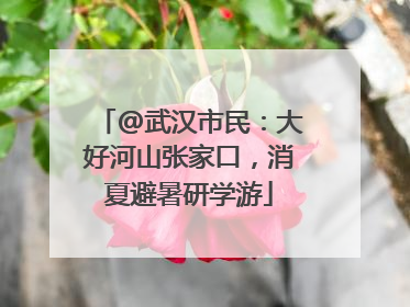 @武汉市民：大好河山张家口，消夏避暑研学游