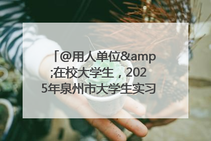 @用人单位&在校大学生，2025年泉州市大学生实习“扬帆计划”来啦！