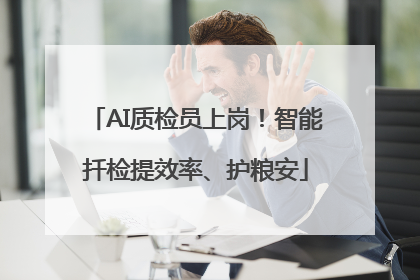 AI质检员上岗！智能扦检提效率、护粮安