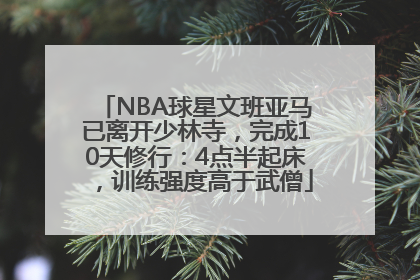 NBA球星文班亚马已离开少林寺，完成10天修行：4点半起床，训练强度高于武僧
